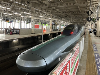 JR東日本 E956形(M1c) ALFA-X E956-10 鉄道フォト・写真 by Aoba_233さん 仙台駅 (JR)：2024年06月13日16時ごろ