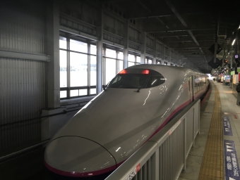 JR東日本 やまびこ(新幹線) 鉄道フォト・写真 by Aoba_233さん 仙台駅 (JR)：2024年02月03日16時ごろ