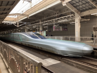 JR東日本 ALFA-X 鉄道フォト・写真 by Aoba_233さん 仙台駅 (JR)：2024年06月13日16時ごろ