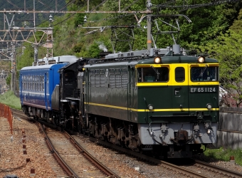 JR西日本 EF65形 EF65-1124 鉄道フォト・写真 by nekopenさん 山科駅 (JR)：2017年04月27日09時ごろ