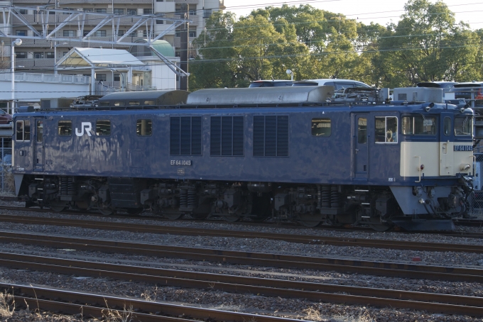 鉄道フォト・写真：JR貨物 国鉄EF64形電気機関車 EF64 1045 大府駅 鉄道フォト・写真 by しなのん/K-02さん - 撮影日 2024/01/29 16:17