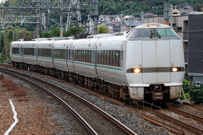 九十九 九十九 カード検索 ｜ Z/X - Zillions of enemy X - ゼクス公式サイト