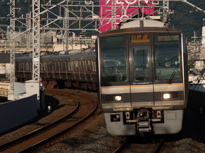 鉄道フォト・写真：JR西日本207系電車 クハ206-2005 鴻池新田駅 鉄道フォト・写真 by エーデル鳥取さん - 撮影日 2024/07/07 17:46