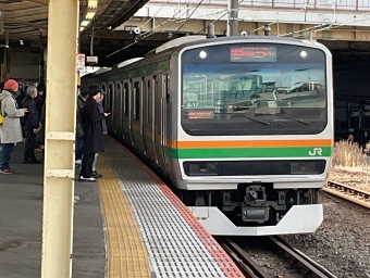 JR東日本E231系電車 鉄道フォト・写真 by 湘南のかもめさん 藤沢駅 (JR)：2024年03月09日13時ごろ