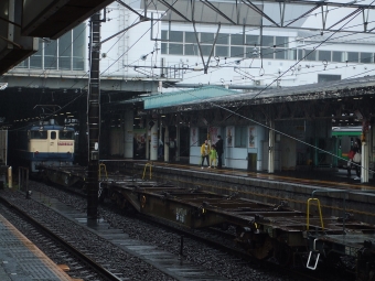 JR貨物 EF65 2088 鉄道フォト・写真 by 湘南のかもめさん 小田原駅 (JR)：2024年03月29日11時ごろ