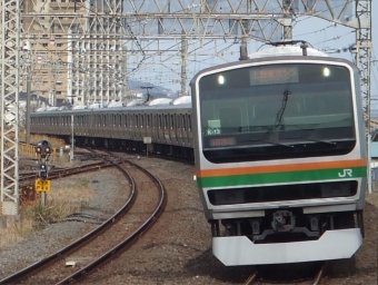 JR東日本E231系電車 鉄道フォト・写真 by 湘南のかもめさん 国府津駅：2024年04月02日15時ごろ