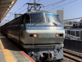 JR貨物 EF66-125 鉄道フォト・写真 by 東武線利用民さん 西浦和駅：2024年03月30日11時ごろ