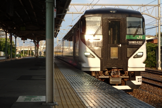 鉄道フォト・写真：JR東日本E257系電車 深谷駅 鉄道フォト・写真 by JR東ずきの関東民さん - 撮影日 2023/07/04 18:00