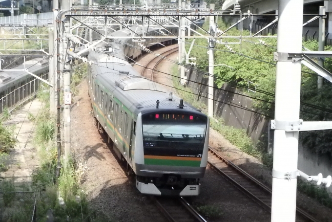JR東日本 E233系 鉄道フォト・写真 by JR東ずきの関東民さん 池袋駅 (JR)：2023年08月15日14時ごろ