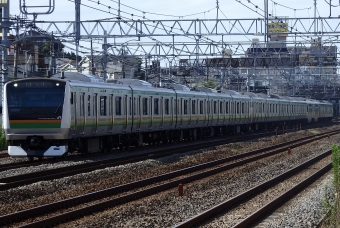JR東日本 E233系 鉄道フォト・写真 by JR東ずきの関東民さん 戸塚駅 (JR)：2023年08月17日08時ごろ