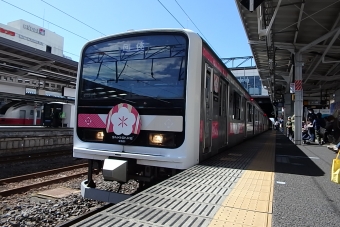 JR東日本 E501系 鉄道フォト・写真 by JR東ずきの関東民さん 水戸駅 (JR)：2024年03月09日11時ごろ