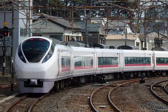 JR東日本 E657系 ときわ(特急) 鉄道フォト・写真 by JR東ずきの関東民さん 水戸駅 (JR)：2024年03月09日11時ごろ