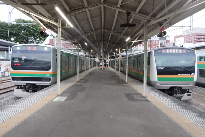 JR東日本 E233系 鉄道フォト・写真 by JR東ずきの関東民さん 深谷駅：2024年06月06日18時ごろ