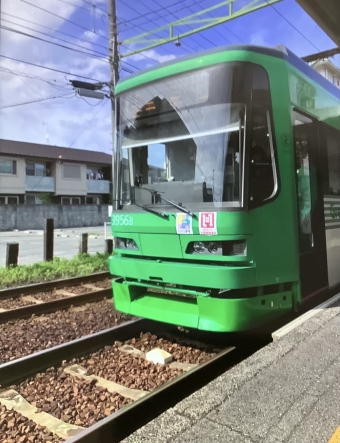 広島電鉄 広電3950B形(Mc) Green Liner 3956B 鉄道フォト・写真 by Sanyo Line 227 seriesさん ：2023年08月08日14時ごろ