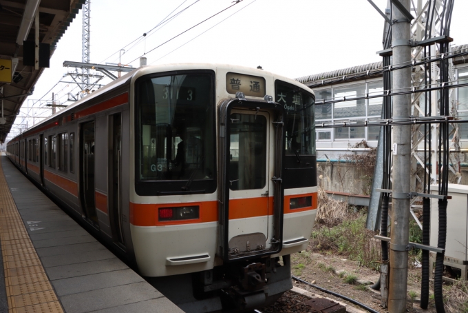 鉄道フォト・写真：JR東海311系電車 米原駅 (JR) 鉄道フォト・写真 by 阪急大好きさん - 撮影日 2024/03/31 11:54