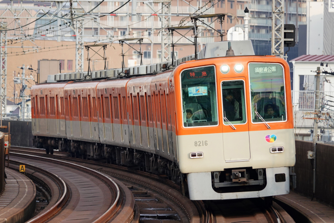 阪神電鉄 8216 (阪神8000系) 車両ガイド | レイルラボ(RailLab)
