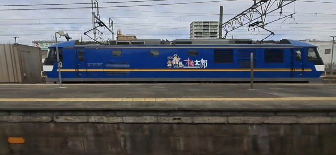 JR貨物EF210形電気機関車 鉄道フォト・写真 by subwayさん 笠寺駅：2024年02月17日14時ごろ