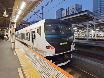JR東日本 E257系 鉄道フォト・写真 by subwayさん 品川駅 (JR)：2024年03月02日17時ごろ