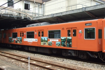 モハ201-240 鉄道フォト・写真