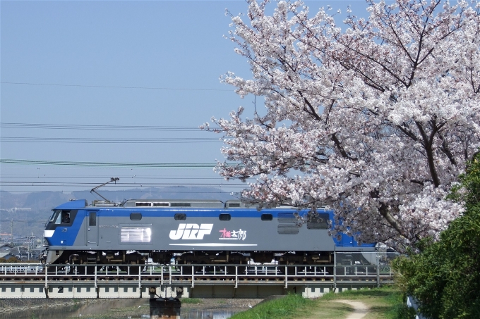 JR貨物 EF210形 EF210-146 鉄道フォト・写真 by えこださん 高槻駅：2009年04月09日10時ごろ
