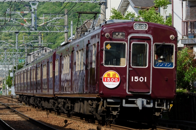 鉄道フォト・写真：能勢電鉄1500系電車 1501 川西能勢口駅 (能勢電鉄) 鉄道フォト・写真 by えこださん - 撮影日 2016/05/04 15:49