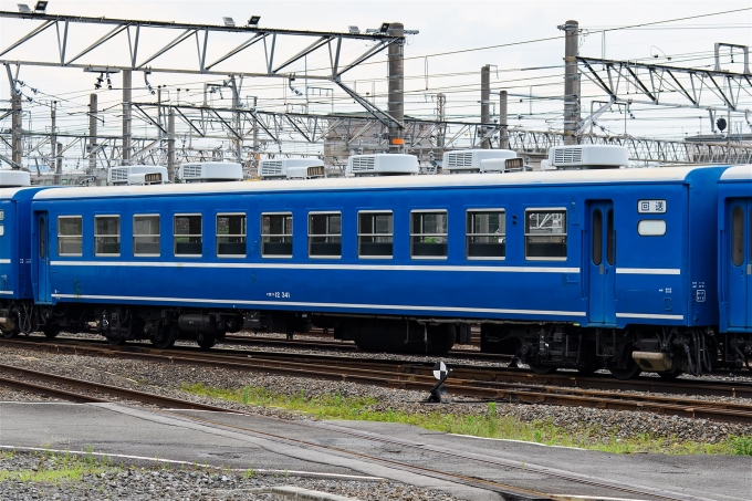 鉄道フォト・写真：JR西日本 国鉄12系客車 オハ12 341 梅小路京都西駅 鉄道フォト・写真 by えこださん - 撮影日 2024/07/04 13:28