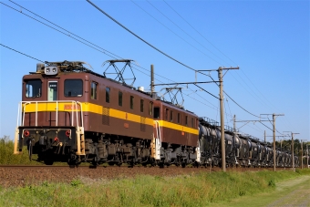 三岐鉄道ED45形電気機関車 ED459 鉄道フォト・写真 by えこださん 保々駅：2017年04月23日16時ごろ