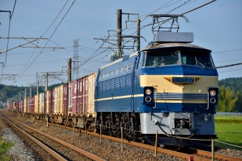 JR貨物 国鉄EF66形電気機関車 鉄道フォト・写真 by お殿様さん 矢板駅：2015年06月07日06時ごろ