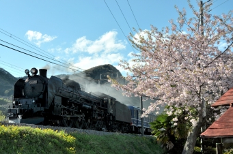 JR東日本 C61形 C61 20 鉄道フォト・写真 by お殿様さん 津久田駅：2011年04月28日16時ごろ