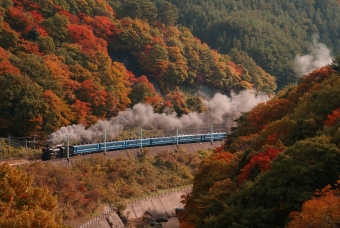 JR東日本 国鉄D51形蒸気機関車 鉄道フォト・写真 by Speed_Birdさん 水上駅：2010年11月07日12時ごろ