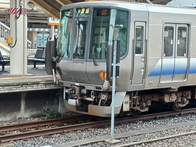 JR西日本223系電車 鉄道フォト・写真 by shingouki0000さん 和歌山駅 (JR)：2024年04月21日11時ごろ