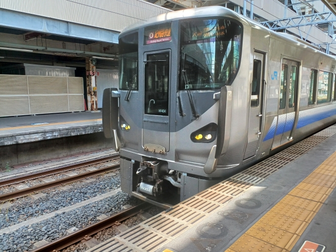 JR西日本 クモハ224形 クモハ224-5004 鉄道フォト・写真 by shingouki0000さん 和歌山駅 (JR)：2024年05月26日13時ごろ
