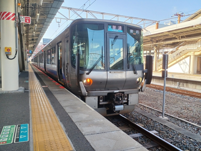 JR西日本 クハ222形 クハ222-104 鉄道フォト・写真 by shingouki0000さん 和歌山駅 (JR)：2024年05月26日17時ごろ