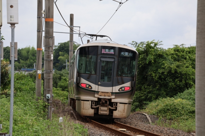 鉄道フォト・写真：JR西日本227系電車 クモハ226-1025 橋本駅 (和歌山県|JR) 鉄道フォト・写真 by shingouki0000さん - 撮影日 2024/07/15 11:30