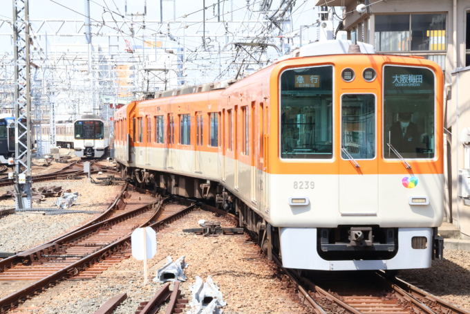 阪神8000系 8239F編成 (尼崎車庫) 鉄道フォト 鉄道フォト・画像(情景