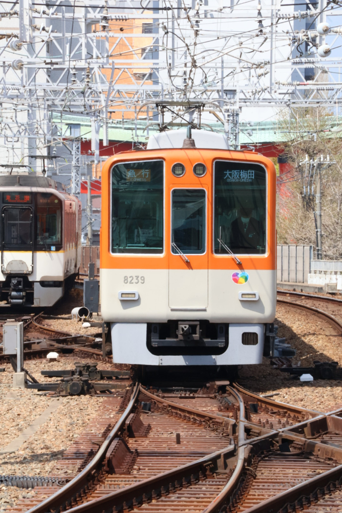 阪神8000系 8239F編成 (尼崎車庫) 鉄道フォト 鉄道フォト・画像(情景