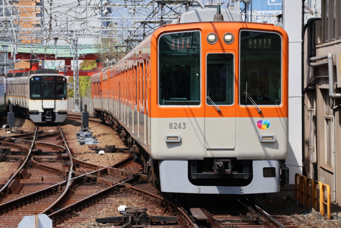 阪神8000系 8243F編成 (尼崎車庫) 徹底ガイド | レイルラボ(RailLab)