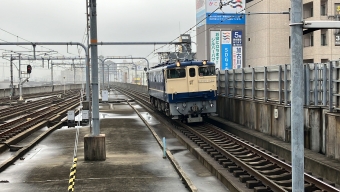 JR西日本 国鉄EF65形電気機関車 鉄道フォト・写真 by bvvddさん 加古川駅：2024年02月20日09時ごろ