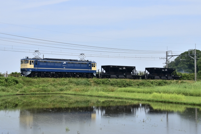 JR東日本 国鉄EF65形電気機関車 EF65 1115 鉄道フォト・写真 by JadeiteTraveler / 翡翠輝石の旅人さん 蓮田駅：2024年06月12日10時ごろ