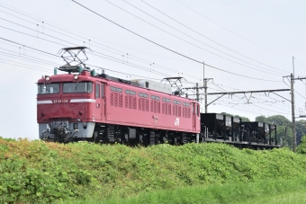 JR東日本 国鉄EF81形電気機関車 宇都宮配給 鉄道フォト・写真 by JadeiteTraveler / 翡翠輝石の旅人さん 蓮田駅：2024年06月26日10時ごろ