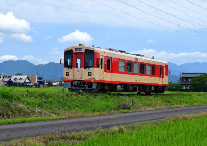 長良川鉄道ナガラ600形気動車 鉄道フォト・写真 by m433さん ：2022年07月25日09時ごろ