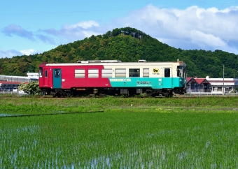 長良川鉄道ナガラ300形気動車 鉄道フォト・写真 by m433さん ：2022年06月07日08時ごろ