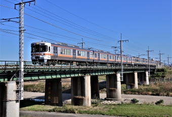 JR東海313系電車 鉄道フォト・写真 by m433さん ：2021年11月07日09時ごろ