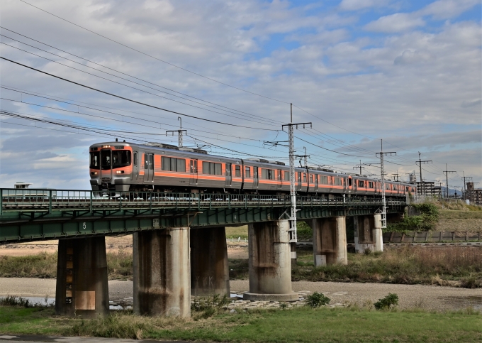 JR東海313系電車 鉄道フォト・写真 by m433さん ：2021年11月10日10時ごろ