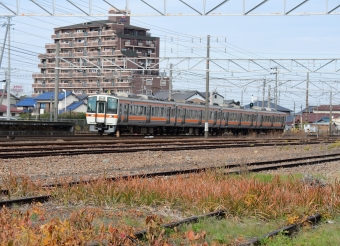 JR東海311系電車 鉄道フォト・写真 by m433さん ：2023年12月11日11時ごろ