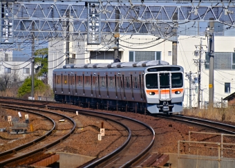 JR東海315系電車 鉄道フォト・写真 by m433さん 枇杷島駅 (JR)：2023年03月16日10時ごろ