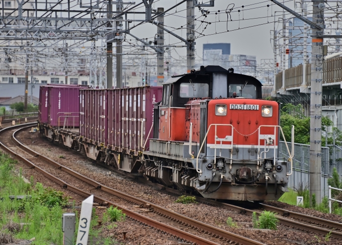 JR貨物 DD51形ディーゼル機関車 DD51-1801 鉄道フォト・写真 by m433さん ：2020年06月22日11時ごろ