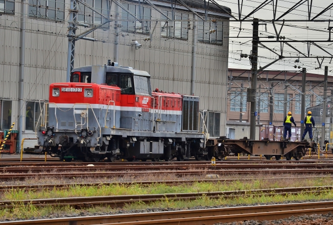JR貨物 国鉄DE10形ディーゼル機関車 DE10‐1727 鉄道フォト・写真 by m433さん ：2016年11月30日10時ごろ