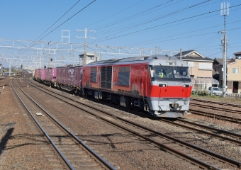 JR貨物 DF200形ディーゼル機関車 DF200‐201 鉄道フォト・写真 by m433さん ：2023年12月26日10時ごろ