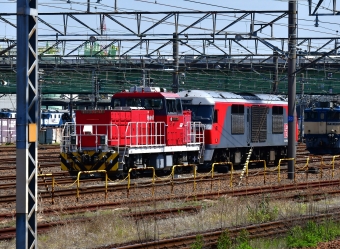 JR貨物 HD300形 HD300-17 鉄道フォト・写真 by m433さん 稲沢駅：2023年05月09日13時ごろ